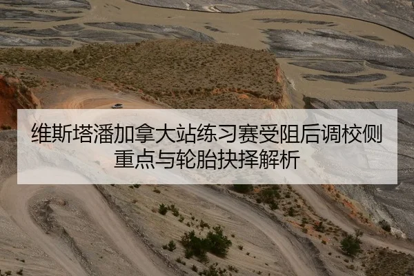 维斯塔潘加拿大站练习赛受阻后调校侧重点与轮胎抉择解析